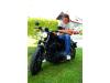 Harley-Davidson  XL 883N Iron