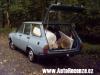 Dacia 1310 TX